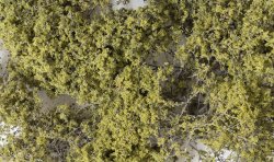 Olive Green Fine-Leaf Foliage