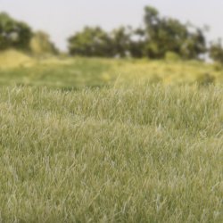 Light Green Static Grass 4mm