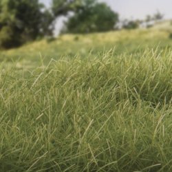 Medium Green Static Grass 12mm