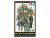 WWII German Infantry On Maneuvers 1/48
