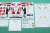 Decal Scissors Tamiya