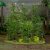 Bamboo Bushes Warlord Games