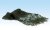 Foliage Conifer Green