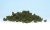 Underbrush Light Green