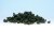 Underbrush Dark Green