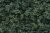 Underbrush works well for medium ground cover, undergrowth or tree foliage.
