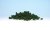 Medium Green Underbrush (Shaker)