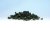 Forest Blend Underbrush (Shaker)