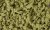 Olive Green Bushes (Shaker)