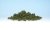 Olive Green Bushes (Shaker)