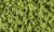 Light Green Bushes (Shaker)