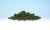 Medium Green Bushes (Shaker)