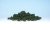 Dark Green Bushes (Shaker)