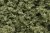 Burnt Grass Clump-Foliage