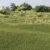 Dark Green Static Grass 2mm