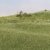 Medium Green Static Grass 2mm