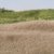 Straw Static Grass 2mm