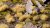 Dense Beige 6mm - Wild