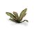 Laser Plants - Banana Tree GamersGrass
