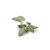 Laser Plants - Elephant Ear GamersGrass