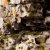 Dark Moss (2mm) - Tiny