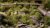 Green 4mm - Small GamersGrass