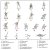 Air Assault Weapons assembly guide