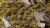 Mixed Green 6mm - Small GamersGrass