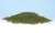 Coarse Turf Burnt Grass