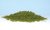 Coarse Turf Light Green