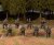 WAAWA003 Italian Infantry Wargames Atlantic