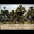 German Sentries 28mm