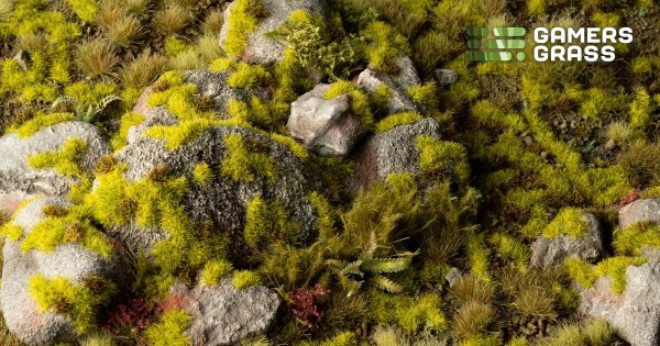 Nyinkommet från GamersGrass