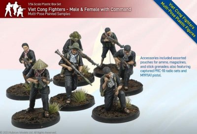 Zoom bild av Viet Cong Fighters & Command