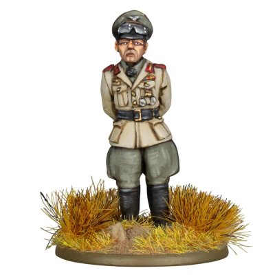 Zoom bild av Rommel, the Desert Fox (Special Edt Miniature)