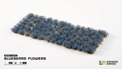 Zoom bild av Bluebeard Flowers
