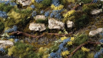 Zoom bild av Bluebeard Flowers GamersGrass