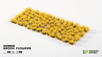 Zoom bild av Broom Flowers
