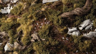 Zoom bild av Dark Green Shrubs GamersGrass