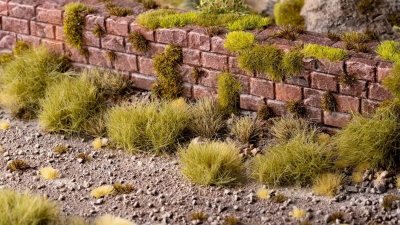 Zoom bild av Dry Green XL 12mm - Wild-XL