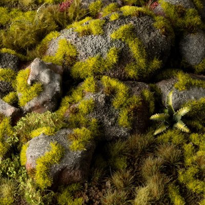 Zoom bild av Moss 2mm - Wild