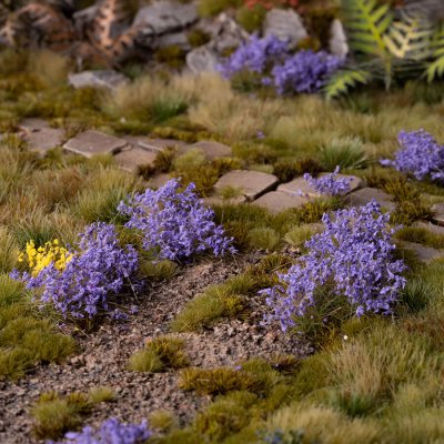 Zoom bild av Violet Flowers - Wild