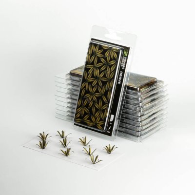 Zoom bild av Agave GamersGrass