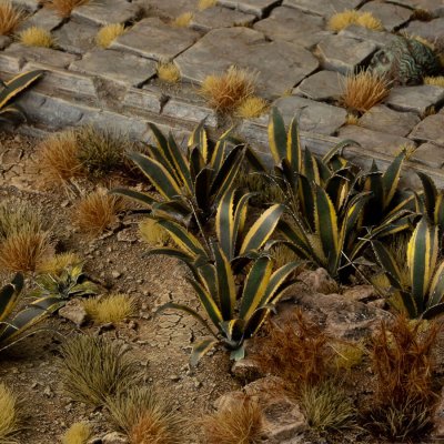 Zoom bild av Laser Plants - Agave