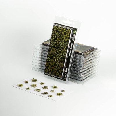 Zoom bild av Dumb Cane GamersGrass