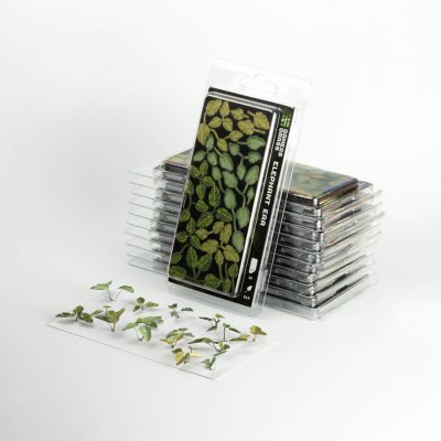 Zoom bild av Elephant Ear GamersGrass