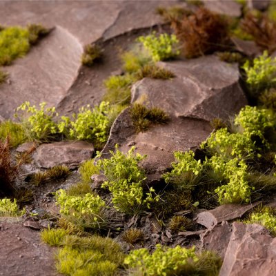 Zoom bild av Green Shrub - Wild