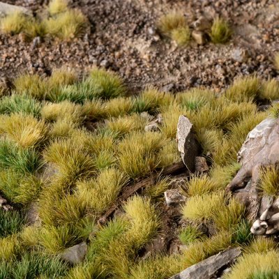 Zoom bild av Green Meadow Set - Wild