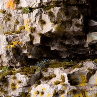 Zoom bild av Dark Moss (2mm) - Tiny