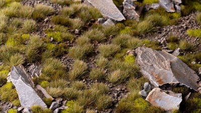 Zoom bild av Mixed Green 6mm - Small GamersGrass